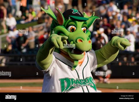 Unleash Your Team's Potential with a Dragon Mascot